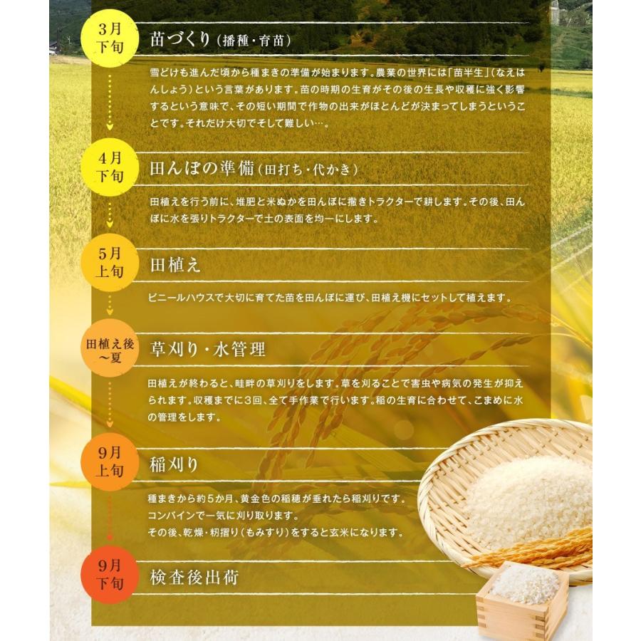 新米 5kg 玄米 特別栽培米 コシヒカリ 令和5年 新潟県 糸魚川 能生米  農家直送 送料無料