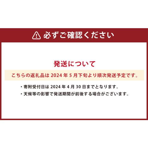 ふるさと納税 熊本県  熊本県産 VS すいか 1玉(約6kg) 果物 くだもの フルーツ 西瓜 スイカ 熊本県産