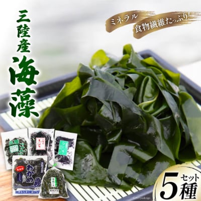 三陸産 海藻 5種セット わかめ 茎わかめ ひじき ふのり 昆布   さんりくみらい