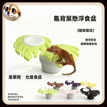 【XL-LX】爬寵龜背葉 懸浮磁吸 睫角 守宮 果泥食盆 懸掛 水盆造景 攀爬樹棲