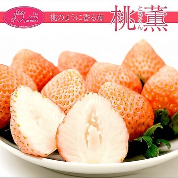 🍓（桃薫草莓種子）（とうくん）種子 超值200粒裝 原日本草莓品種 原產地稀有桃薫草莓種子