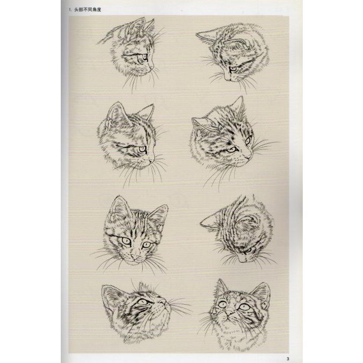 工筆猫技法全解　中国画名家技法叢書　中国絵画 工#31508;猫技法全解　中国画名家技法#19995;#20070;