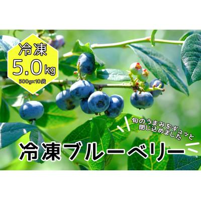 ふるさと納税 東通村 冷凍ブルーベリー5.0kg(500g×10袋)「青森県東通村産」