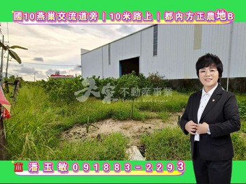 國10燕巢交流道旁｜ 10米路上｜都內方正農地B｜高雄市大社區保甲段