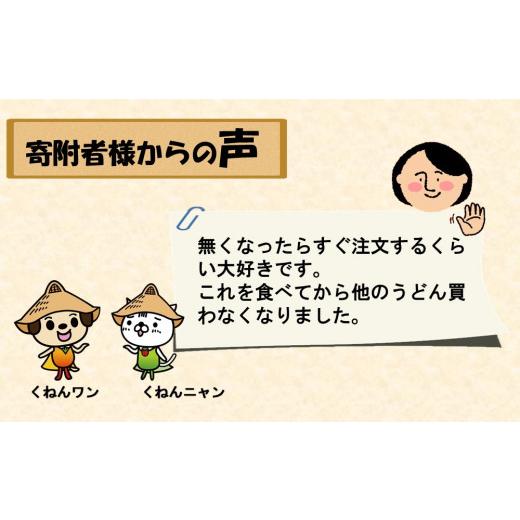 ふるさと納税 佐賀県 神埼市 さっとできてさっと食べられる ささっとうどん 10入 (H014116)