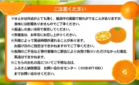 露地せとか　赤秀・青秀　約5kg