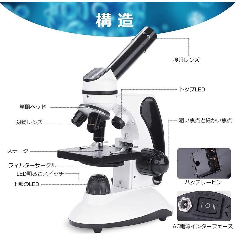 顕微鏡光学顕微鏡40~2000倍スライドセット、デュアルLED照明、子供用 