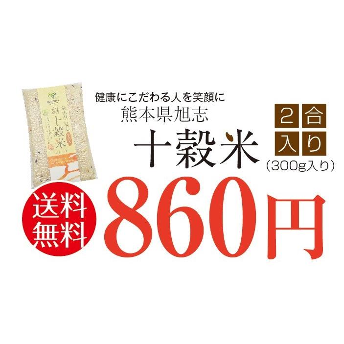 有機栽培 十穀米 ポイント消化 熊本県産 2合入 有機JAS 安心 安全 雑穀米 お試し オーガニック 無農薬