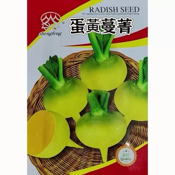 【原廠包裝】蛋黃蔓菁種子（Egg Yellow Radish）2克裝時蔬黃金蕪菁 生吃沙拉涼拌 清脆無辛辣 陽台盆栽可種