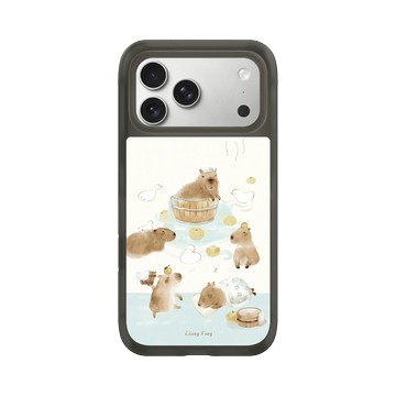 iPhone 17 Pro Max AirX 本質黑 - 涼丰 LiangFeng - 水豚君