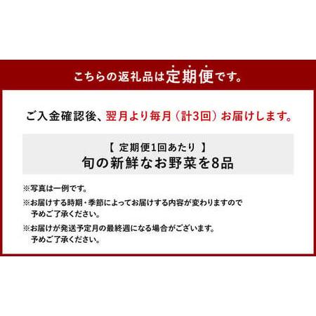 ふるさと納税 特別栽培 季節のお野菜セット 8品 おまかせ やさい 宮崎県えびの市