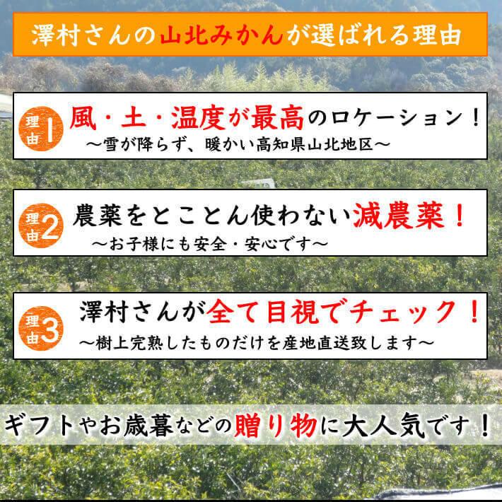 山北みかん 減農薬 優品 約5kg 生産者限定 温州みかん お歳暮 高知県産