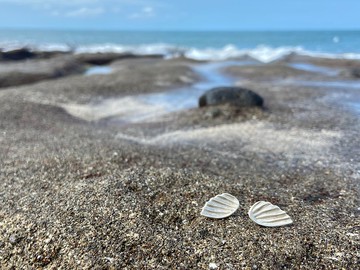 大海小世界。人魚之翼純銀耳環。925純銀。sterling silver