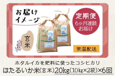 ほたるいか米（玄米20kg）×6回 計120kg