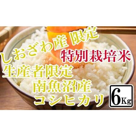 ふるさと納税 特別栽培 しおざわ産限定 生産者限定 南魚沼産コシヒカリ 新潟県南魚沼市