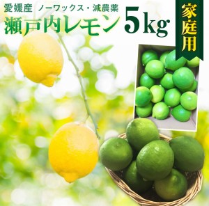 レモン 愛媛 瀬戸内レモンご家庭用 5kg(42玉前後) 産地直送 ノーワックス・減農薬 J常