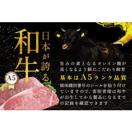 ふるさと納税 しゃぶしゃぶ 用（肩ロース）500g 北海道 別海町産 黒毛和牛「 名人和牛」 A5クラス 250g×2P )（ しゃぶしゃぶ 牛しゃぶし.. 北海道別海町