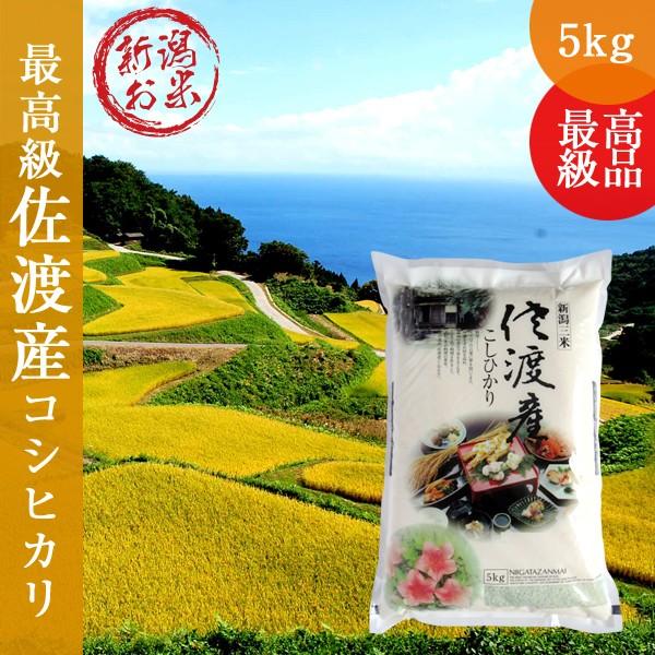 令和5年産 佐渡産コシヒカリ5kg 送料無料