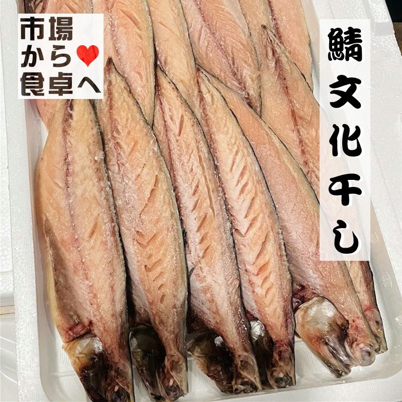 さば文化干し 鯖の干物 12枚(1枚当たり約100g)脂のっています