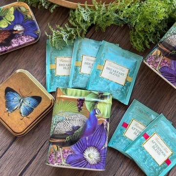 Madame Treacle 奇異叢林方罐茶葉禮盒 【英國茶】