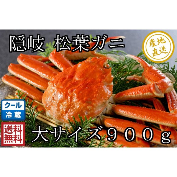 [予約 2023年12月20日-12月31日の納品] 松葉ガニ 隠岐松葉ガニ 大サイズ 900ｇ 蟹 ズワイガニ 産地直送 カニ