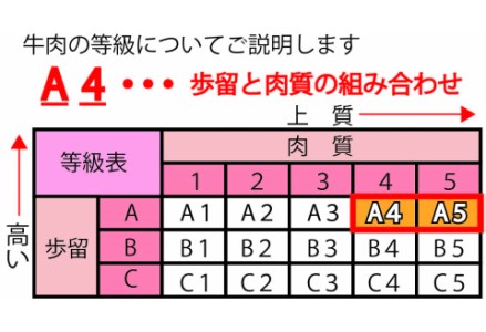 鹿児島県産A4等級以上！黒毛和牛サーロインステーキ(計880g・約220g×4枚)