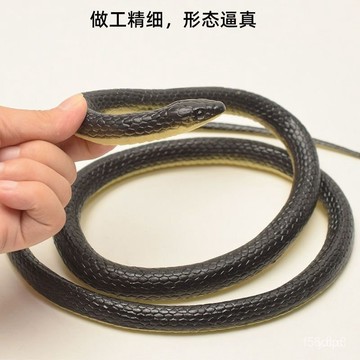 🔥桃園有貨🔥【4911人好評】仿真嚇人仿真大號軟膠長塑料動物噁搞怪神器兒童魔術道具整蠱 IRJI