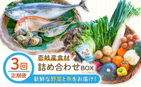 壱岐産食材詰め合わせBOX「野菜と魚」 [JBF024] 詰め合わせ 野菜 卵 鮮魚 セット 120000 120000円 12万円