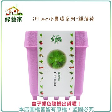 【綠藝家】iPlant小農場系列-貓薄荷