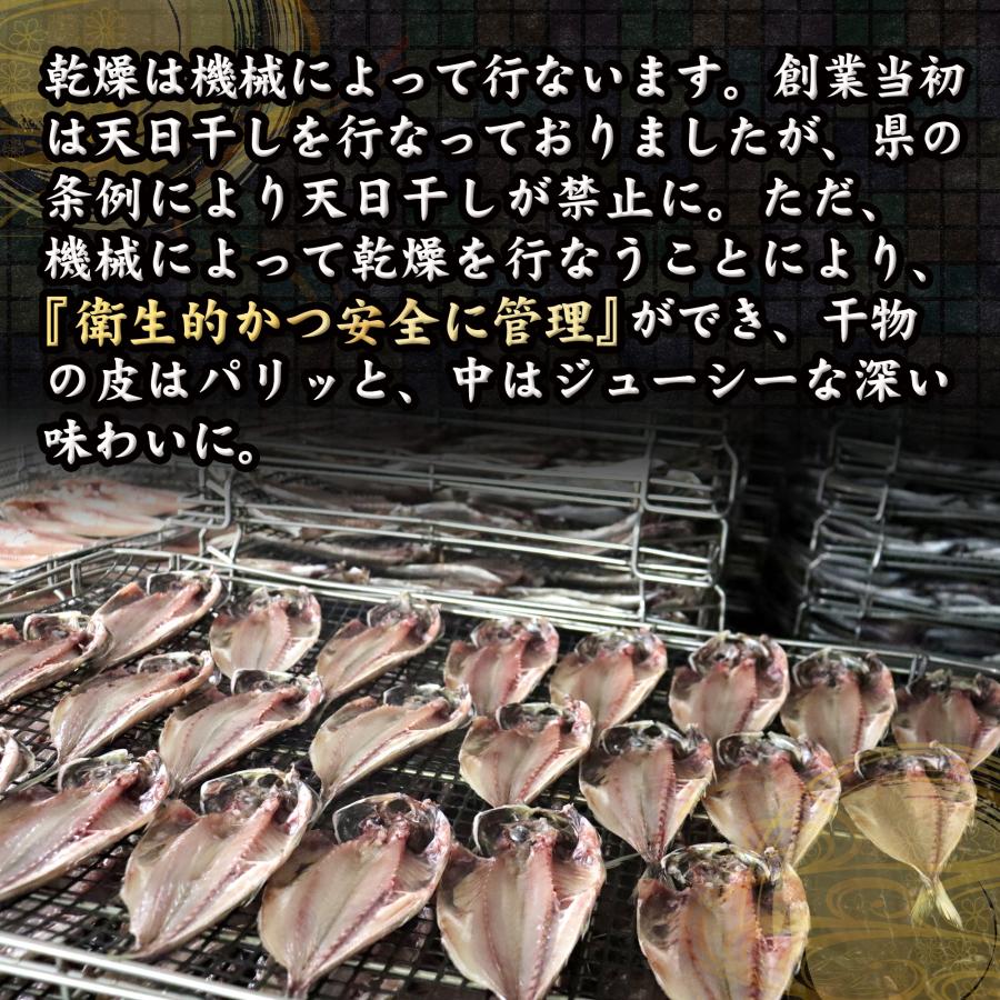 干物 特選 さば文化干し 鯖 サバ 5パックセット 干物セット 自宅用 おかず 小田原 セットでお得 送料無料