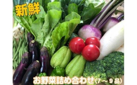 野菜 7～9品目程度 セット 詰め合わせ 季節 新鮮 産地直送 高知県 須崎市