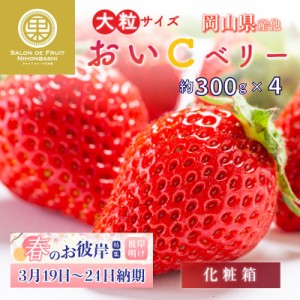 [予約 2024年2月11日-2月14日の納品] バレンタインデー おいCベリー 晴苺 約300g×4 2L3Lサイズ 大粒サイズ 岡山県産他 苺 いちご イチゴ