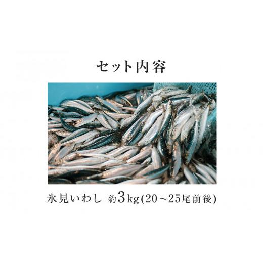 ふるさと納税 富山県 氷見市 氷見いわし　とろ生いわし3kg ＜2月以降発送予定＞　産地直送便 富山県 氷見市 鰯 イワシ 冷蔵 …