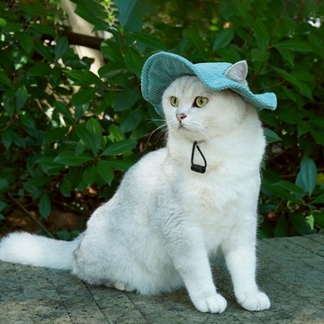 時尚毛小孩必備 O'Pretty 歐沛媞 Petsall 遮陽露耳漁夫帽-多款可選-綠/黃/粉-S/M 贈毛孩時尚造型眼鏡