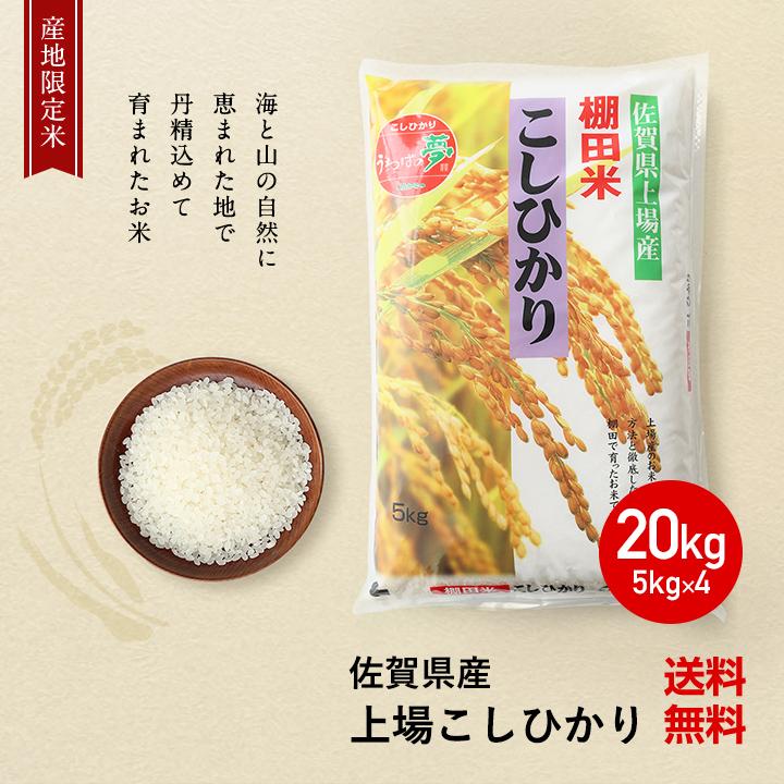 新米　令和5年産　米 お米 20kg 送料無料 上場コシヒカリ 佐賀県産　令和5年度 5kg×4袋 こしひかり