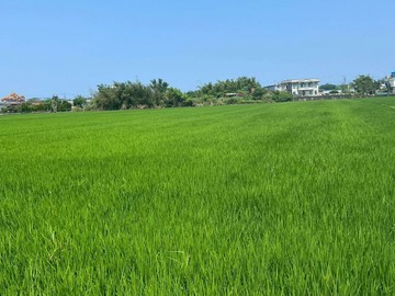 壯圍超值足坪農地｜宜蘭縣壯圍鄉壯濱三段