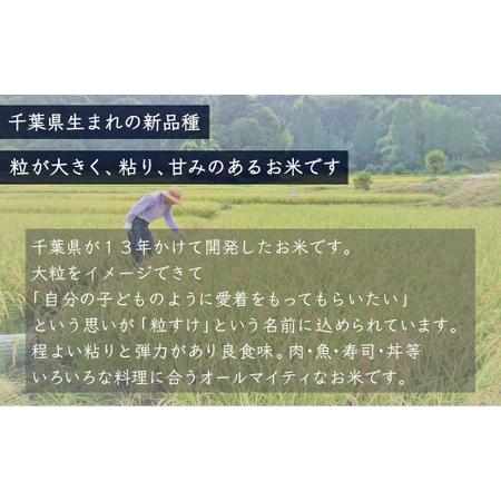 ふるさと納税 新米 令和5年産 千葉県産「粒すけ」20kg（5kg×4袋）   どっちのふるさと TV フジテレビ 新米粒すけ 令和5年産粒すけ 千葉.. 千葉県大網白里市