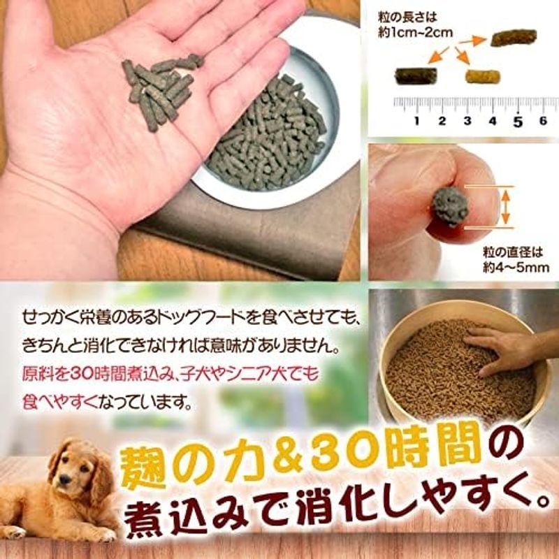 Dr.宿南のキセキのごはん 肝臓の健康サポート - 犬用品