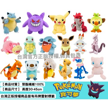 Pokemon 精靈寶可夢 正版授權 伊布 寶可夢 娃娃 皮卡丘 耿鬼 卡比獸 玩偶 寶可夢娃娃 噴火龍 神奇寶貝