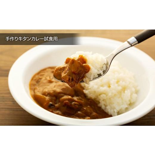 ふるさと納税 宮城県 登米市 の手作り牛タン・味付き　250g×1袋（手作り牛タンカレー試食用100g付）