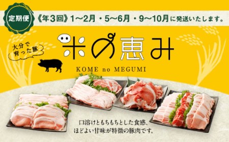 大分県産ブランド豚「米の恵み」季節の定期便セット 計4.8kg（1～2月・5～6月・9～10月）定期便 豚肉