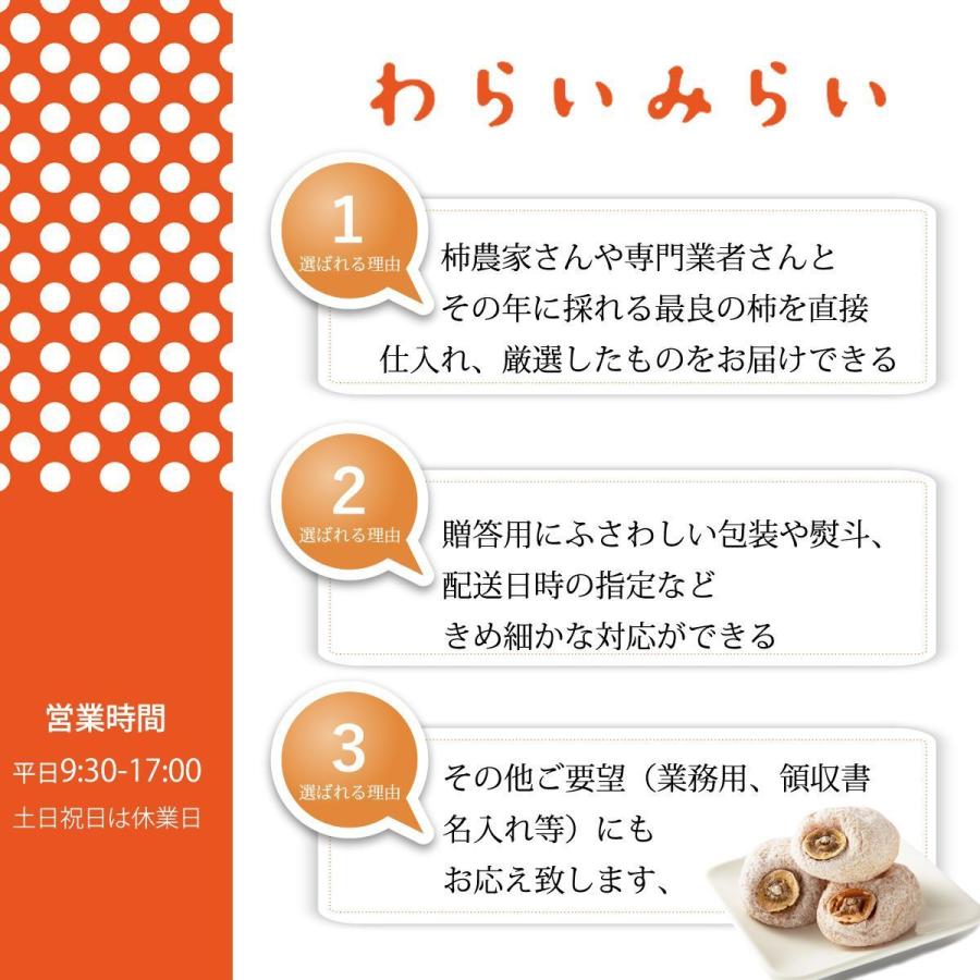 干し柿 市田柿 ドライフルーツ 送料無料 長野 産地直送 1kg 干柿 ほしがき ほし柿