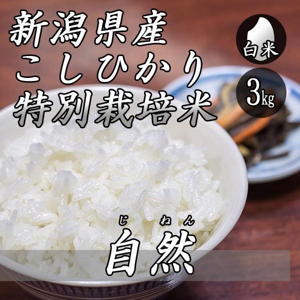 お米 3kg 新潟産 コシヒカリ 特別栽培米 自然コシヒカリ 3kg×1袋 令和5年産 米 白米