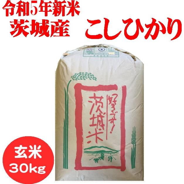 令和5年新米　玄米30kg　送料無料　茨城こしひかり