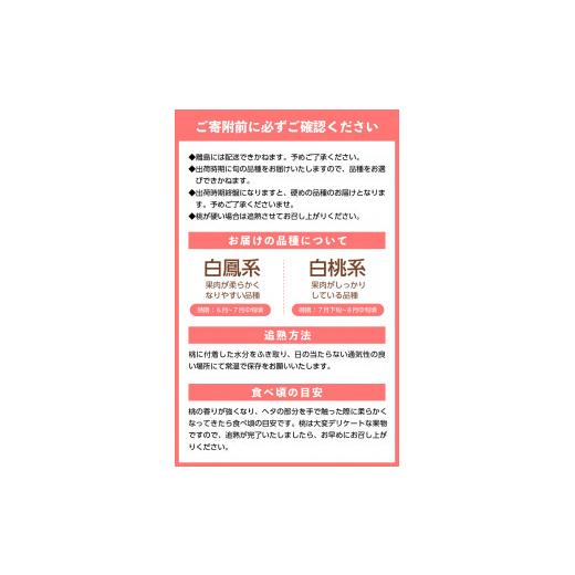 ふるさと納税 山梨県 甲府市 〈2024年度配送分〉露地桃大玉 5-6玉（2024年6月下旬〜8月中旬にかけて順次配送予定）