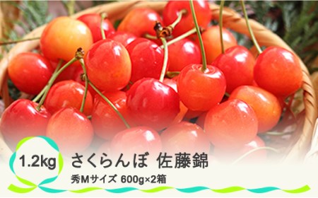 先行予約 さくらんぼ 佐藤錦 秀Mサイズ バラ詰め 1.2kg(600g×2箱) 2024年産 令和6年産 山形県産 ns-snsmb1200