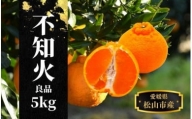 良品 約 5kg　＜2月末～4月頭頃発送＞愛媛 松山 みかん 先行予約 蜜柑 柑橘 果物 くだもの フルーツ お取り寄せ グルメ 期間限定 数量限定 人気 おすすめ 愛媛県 松山市  ふるさとチョイス ふるさと納税 ランキング キャンペーン やり方 限度額 仕組み シミュレーション