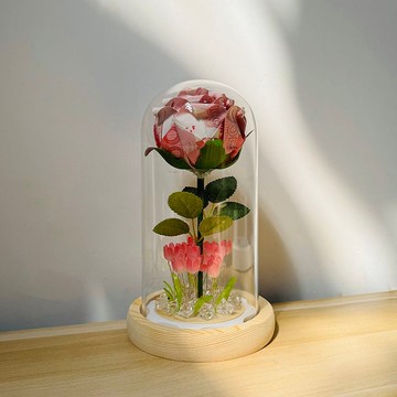 臺灣/ 現🌸手工 DIY  手作 永生花 扭扭棒有錢花材料包diy手工製作鬱金香小夜燈玻璃罩套裝女朋友生日禮物