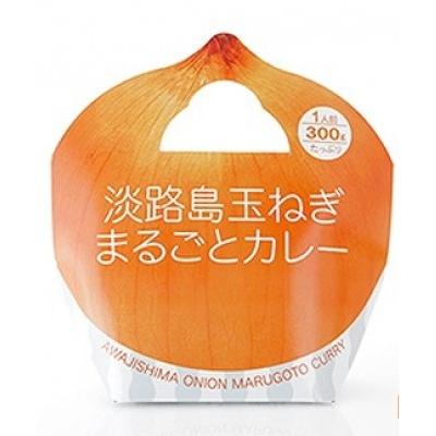 ふるさと納税 南あわじ市 淡路島玉ねぎまるごとカレー10食セット