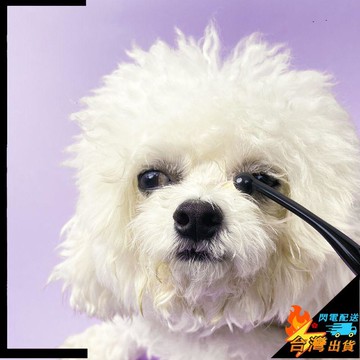 【台灣出貨】寵物刷 狗狗淚痕刷 寵物淚痕刷 貓咪眼部清潔刷 寵物眼部刷子 軟毛 寵物眼屎刷 眼睛清潔用品 貓犬通用